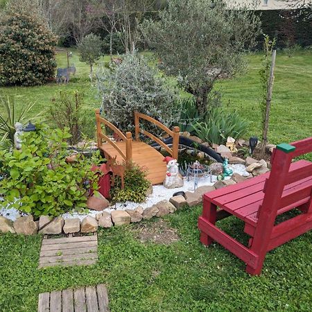 Chambre D'Hote Amitie Et Jardin Carmaux 外观 照片