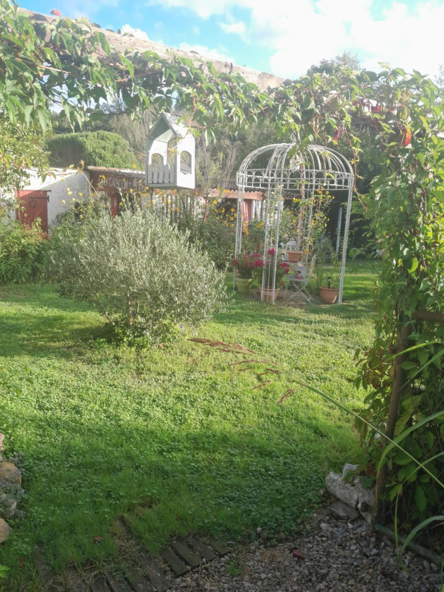 Chambre D'Hote Amitie Et Jardin Carmaux 外观 照片