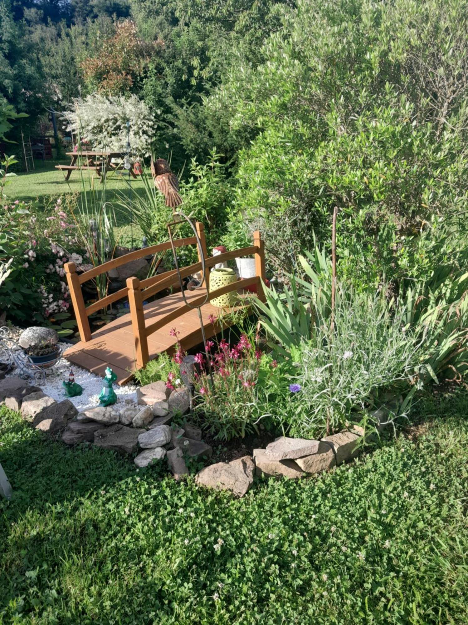 Chambre D'Hote Amitie Et Jardin Carmaux 外观 照片