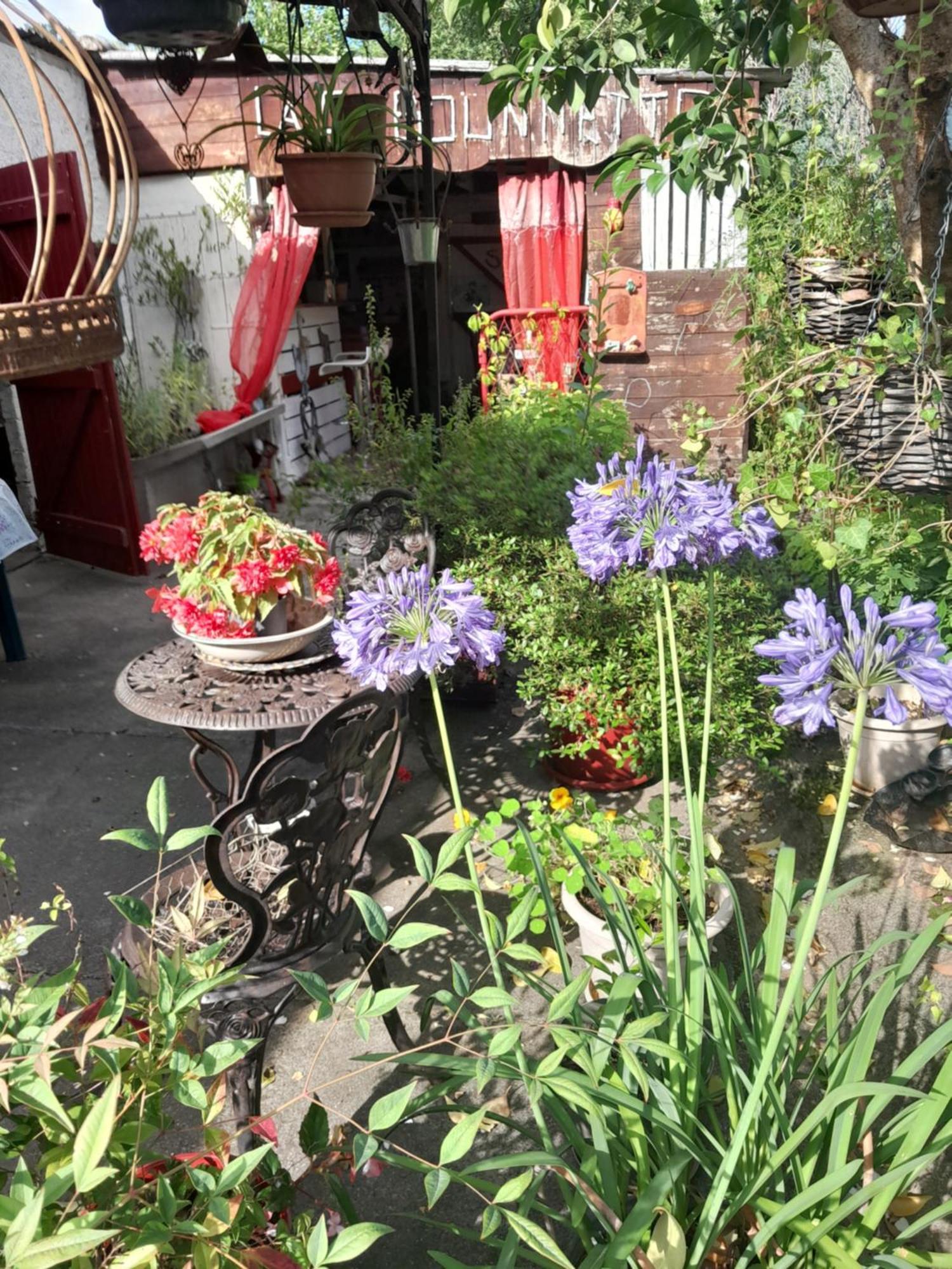 Chambre D'Hote Amitie Et Jardin Carmaux 外观 照片